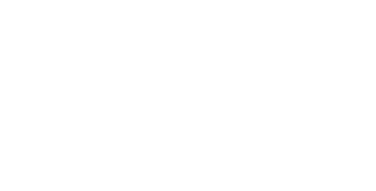 In 1972, a columnist writing in a Texas newspaper recounted an anecdote in which a wife caught her husband cosying-up to an attractive barmaid. The husband responded, “Look here, honey, are you going to believe what I tell you about this, or are you going to believe your own lying eyes?” That husband today is the Fed, which alongside other central banks must carefully balance the need to build confidence in a broad-based recovery, against the risk of creating an environment where truth goes to die.  In the meantime, nobody likes fighting the Fed, certainly not in the context of the current malfunctioning capital switching mechanism, a possibility not recognised by neo-classical economics. This malfunctioning capital switch supports a dual conclusion: (i) the rally in risk assets is likely to become more volatile as 2021 progresses, (ii) strong asset markets are, paradoxically, a bad omen for future productivity growth and economic stability.